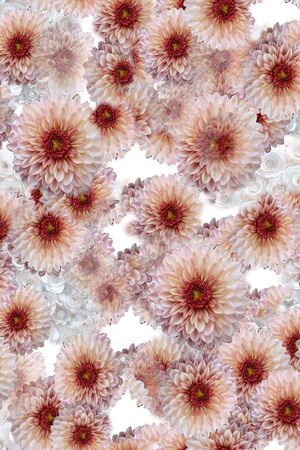 colorfull印花华亿平台图片