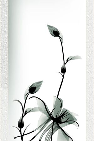 荷花印花华亿平台图片