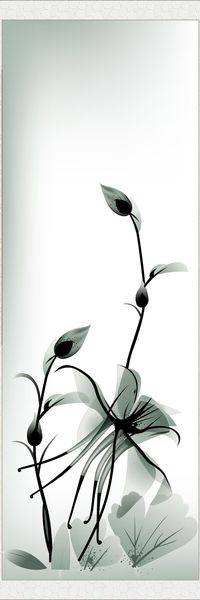 荷花印花华亿平台图片