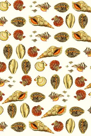 波西米亚印花华亿平台图片