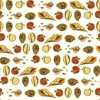 649620-贝壳蜗牛壳钱呗