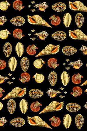 波西米亚印花华亿平台图片