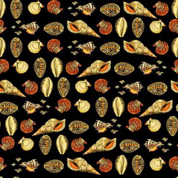 649621-贝壳蜗牛壳钱呗黑