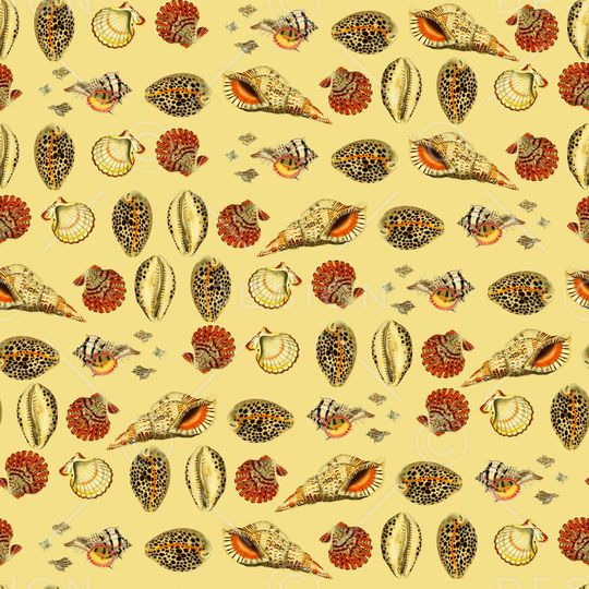 波西米亚印花华亿平台图片