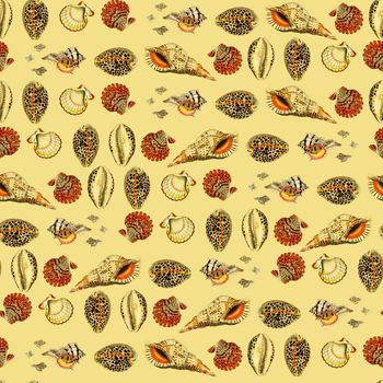 649622-贝壳蜗牛壳钱呗黄