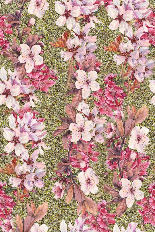 colorfull印花华亿平台图片