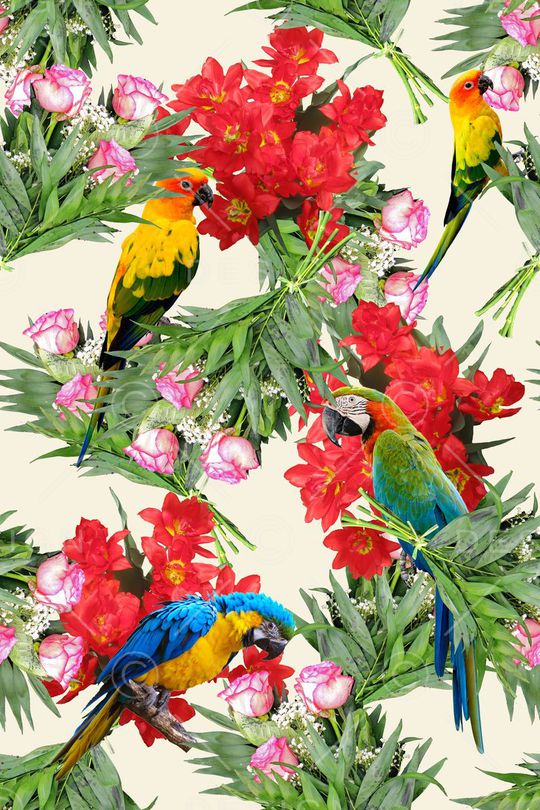 花鸟印花华亿平台图片