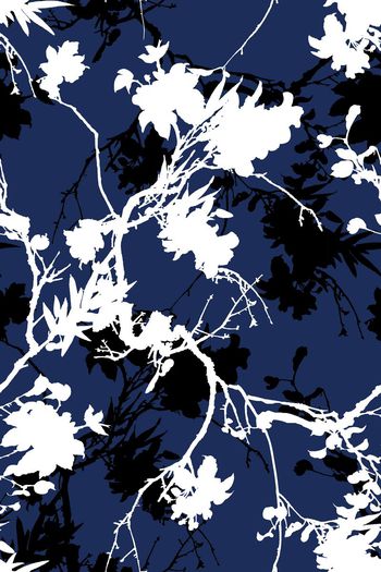 649774-抽象树枝06822b