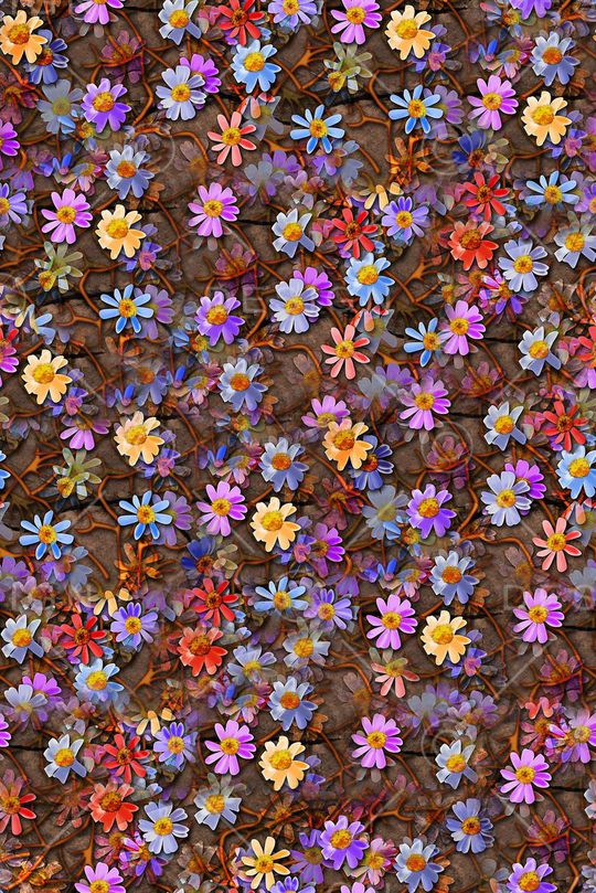 时尚抽象水彩肌理花卉数码印花印花华亿平台图片