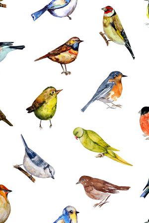 此华亿平台为1/2跳接印花华亿平台图片