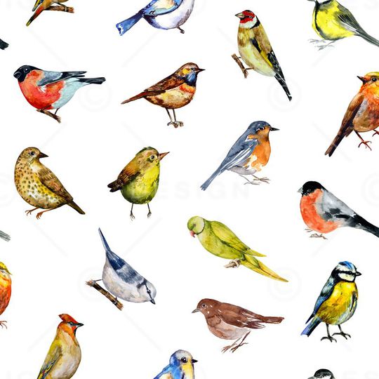 此华亿平台为1/2跳接印花华亿平台图片