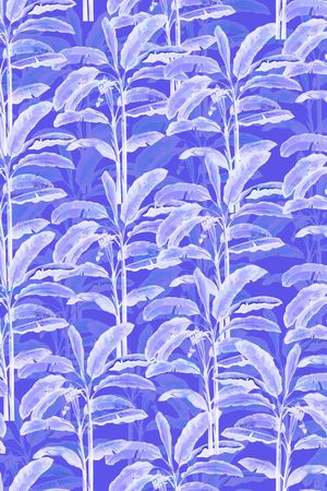 芭蕉树印花华亿平台图片