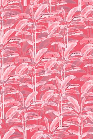 芭蕉树印花华亿平台图片