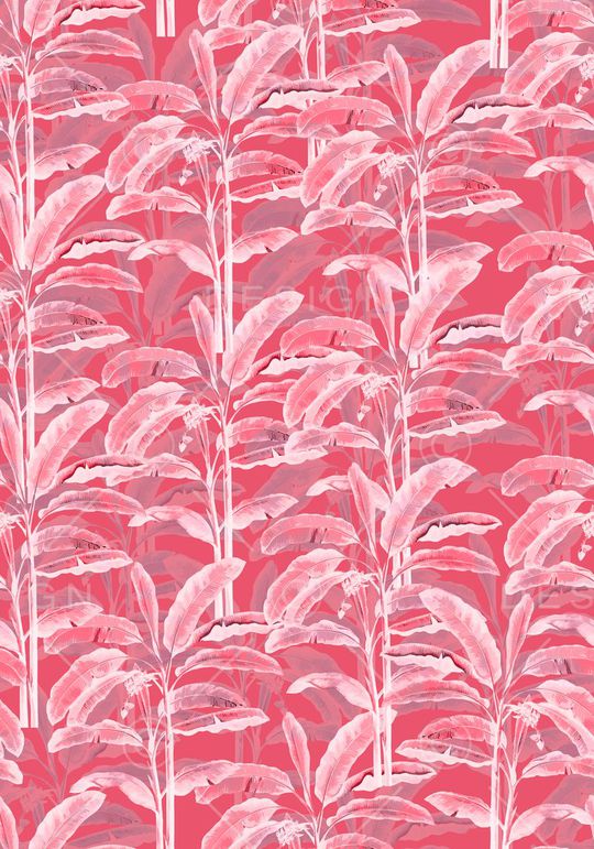 芭蕉树印花华亿平台图片