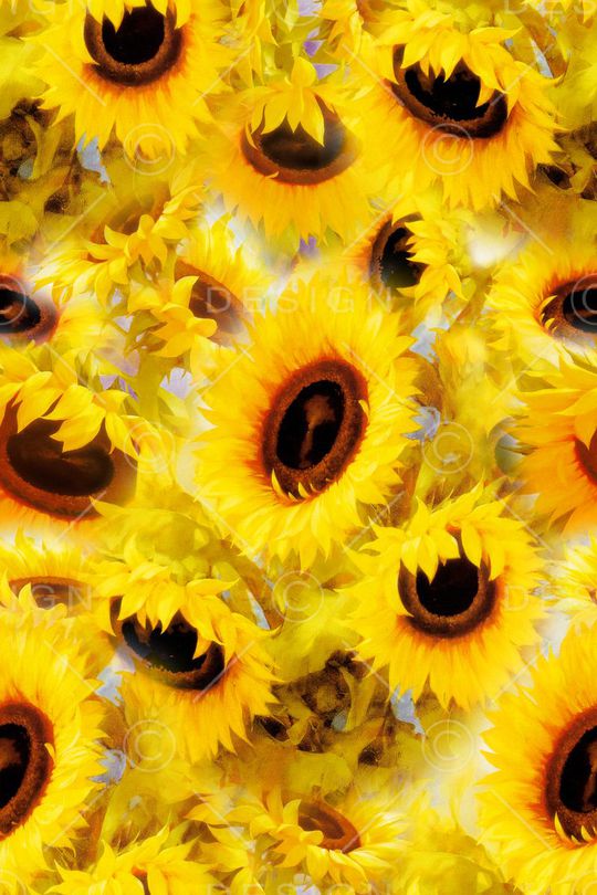 田园风印花华亿平台图片