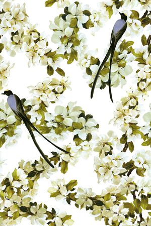 玉兰花印花华亿平台图片