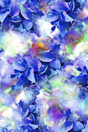 女装印花华亿平台图片