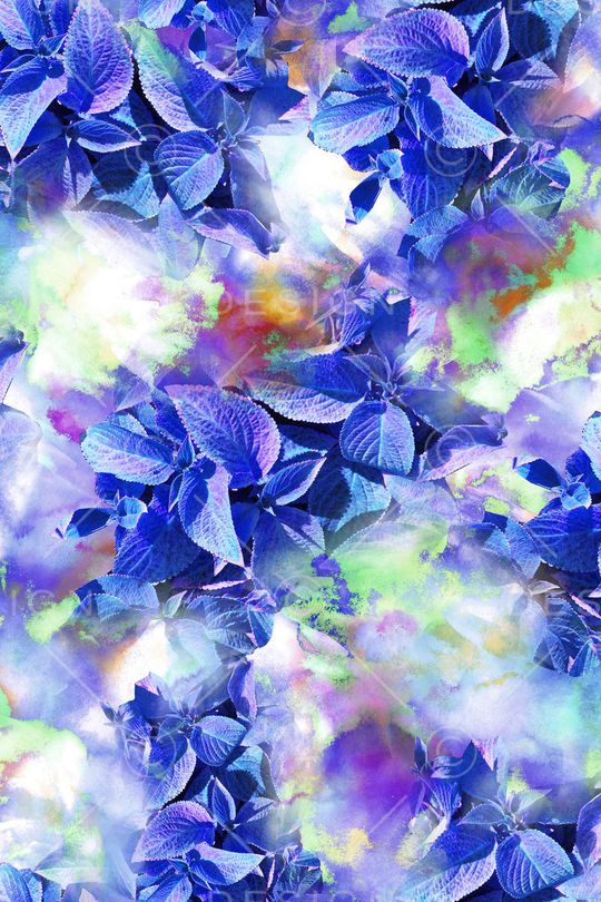 女装印花华亿平台图片