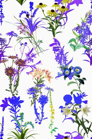 650303-2016-6-14浪漫水彩花卉2