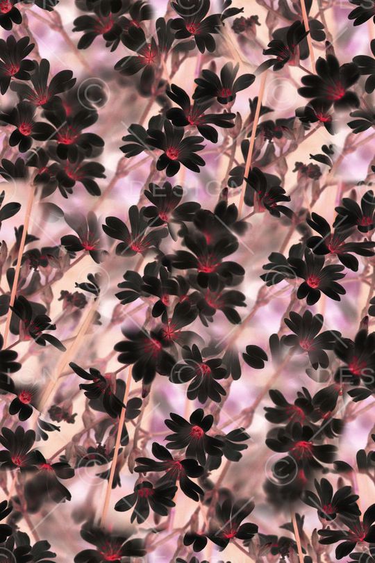 花朵印花华亿平台图片