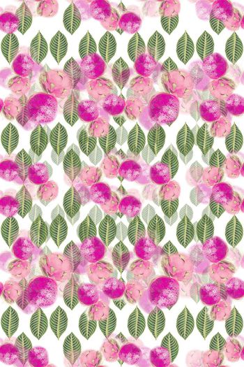 650506-10079ztkf-22940-1