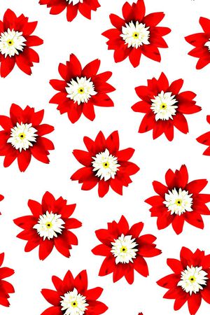 时尚大牌女装裙子数码印花印花华亿平台图片