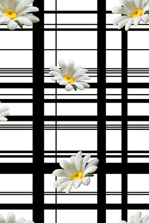 玉兰花印花华亿平台图片