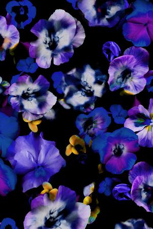 条纹印花华亿平台图片