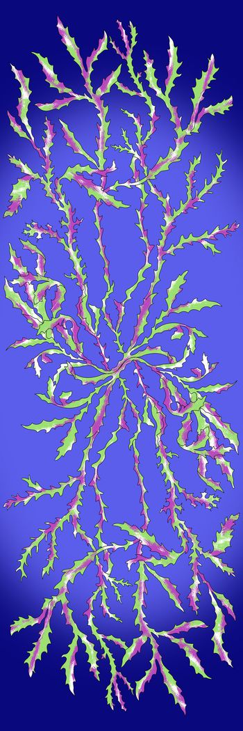 650799-20160601海洋深处