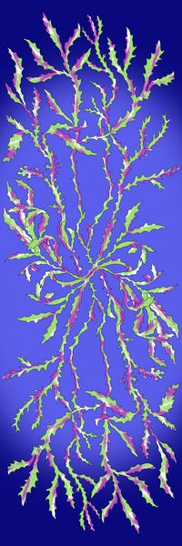 海洋元素长巾印花华亿平台图片