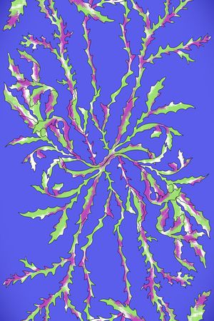 海洋元素长巾印花华亿平台图片