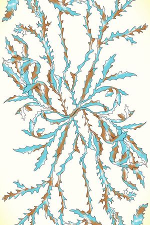 海洋元素长巾印花华亿平台图片