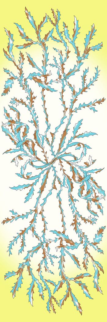 650800-20160601海洋深处-2