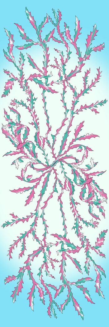 650801-20160601海洋深处-3