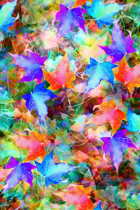 女装印花华亿平台图片