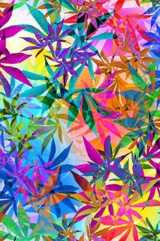 女装印花华亿平台图片