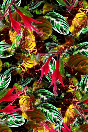 热带植物花卉泳装数码印花印花华亿平台图片