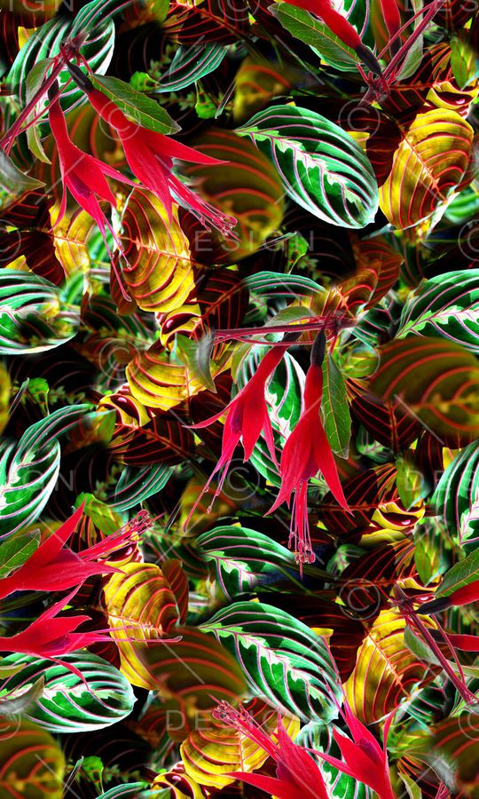 热带植物花卉泳装数码印花印花华亿平台图片