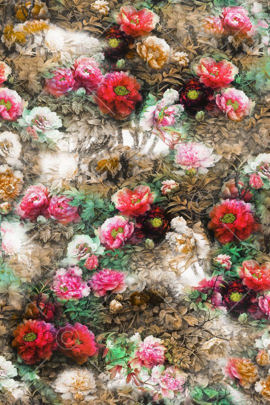 牡丹印花华亿平台图片