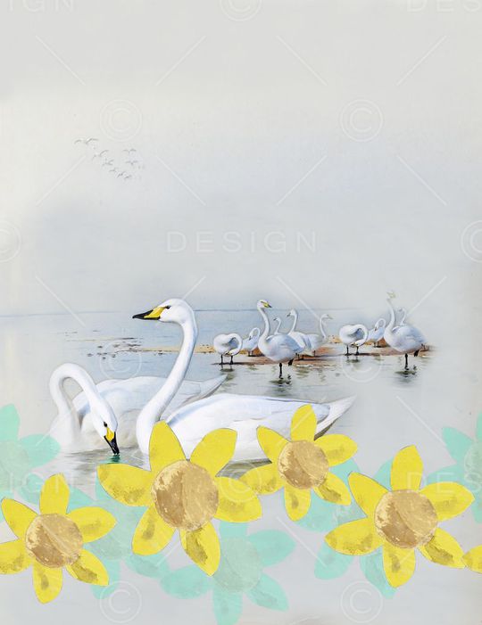 时尚女装衬衫印花华亿平台图片