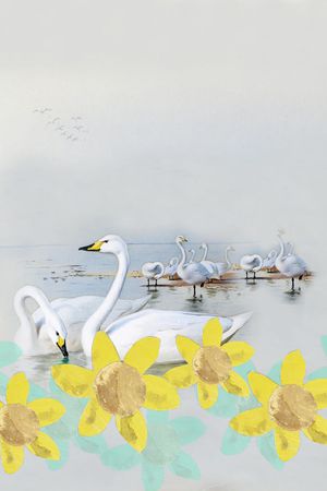 时尚女装衬衫印花华亿平台图片