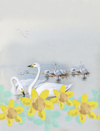 时尚女装衬衫印花华亿平台图片