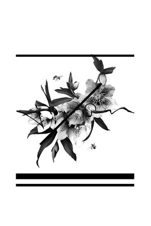 简单大气的花卉印花华亿平台图片