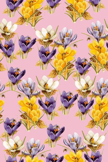 651116-百合蜜蜂 粉红底