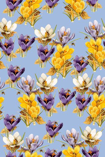 651117-百合蜜蜂 浅蓝底