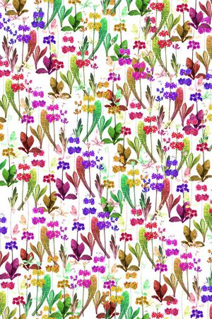 乱花印花华亿平台图片