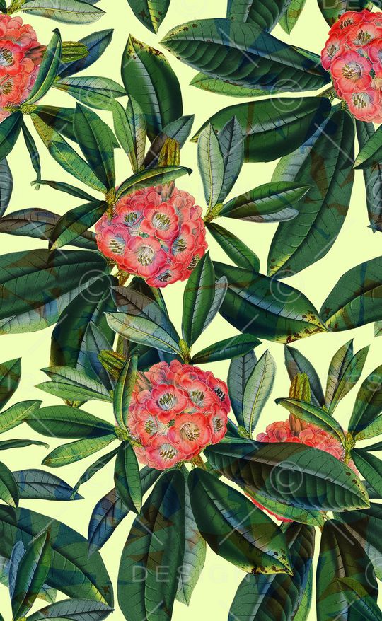 叶子印花华亿平台图片