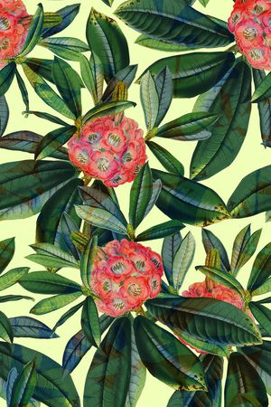 叶子印花华亿平台图片