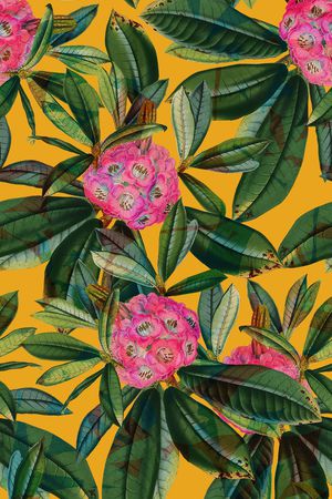 叶子印花华亿平台图片