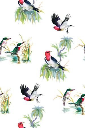 热带印花华亿平台图片